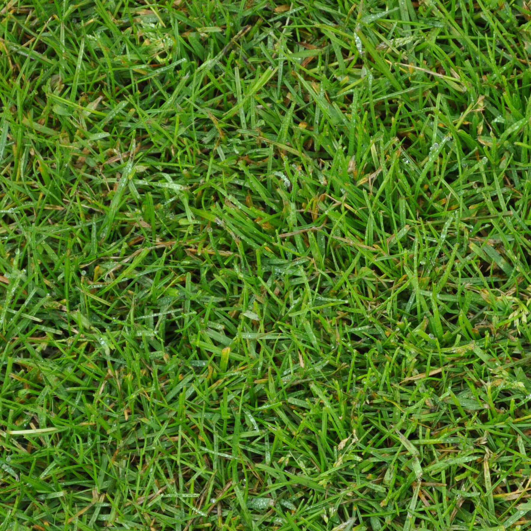 Soft Ground